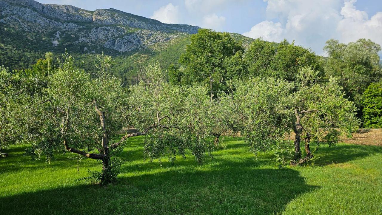 Villa Umbra Et Sol Gruda Extérieur photo